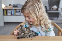 Porträt eines jungen Mädchens streichelt Katze — Stockfoto