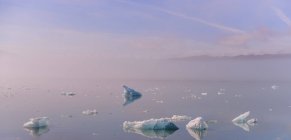 Pequenos icebergs no mar, Narsaq, Vestgronland, Groenlândia — Fotografia de Stock