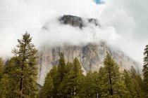 El Capitan, parc national de Yosemite, Californie, États-Unis — Photo de stock
