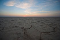 Cracked earth and horizon, Northern Cape, South Africa — Stock Photo