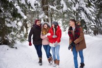 Amigos andando e rindo na neve — Fotografia de Stock