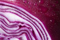 View of sliced red cabbage, close up — Stock Photo