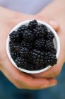 High angle view of female hands holding blackberries — Stock Photo