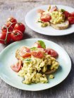 Scrambled eggs with tomatoes, on bread, close-up — Stock Photo