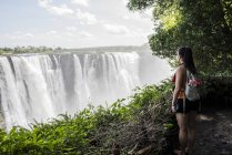Vista lateral de la turista joven mirando hacia las cataratas Victoria, Zimbabue, África - foto de stock