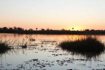 Nascer do sol na água em Okavango Delta, Botswana, África — Fotografia de Stock