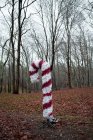 Decoration in form of Christmas candy cane in background of forest — Stock Photo