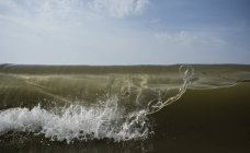 Крупним планом океан хвилі, Domburg, Zeeland, Нідерланди, Європа — стокове фото