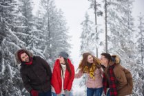 Amis riant dans la neige — Photo de stock