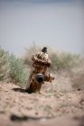 View of fire hydrant at desert, california — Stock Photo
