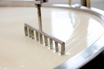 Machine slicing through curdled cheese curds in vat — Stock Photo