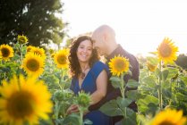 Paar umarmt sich im Sonnenblumenfeld — Stockfoto