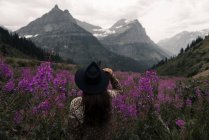 Woman in flowers looking at mountain ranges, Glacier National Park, Montana, EUA — Fotografia de Stock