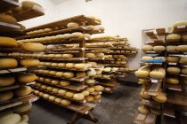Sala de envejecimiento donde se almacenan quesos duros para madurar - foto de stock