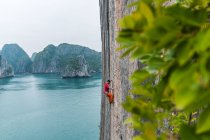 Vista lateral del escalador en roca caliza, Ha Long Bay, Vietnam - foto de stock