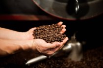 Чоловічі руки тримають кавові зерна — стокове фото