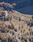 Herbstfarben, Dolomiten, Cortina d 'ampezzo, Venetien, Italien — Stockfoto