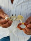Cropped image of Man holding crab in hands — Stock Photo