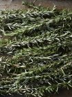 Natura morta di erba di rosmarino, vista aerea — Foto stock
