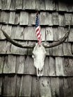 Cuernos de Bnuok y bandera estadounidense colgando en la pared - foto de stock