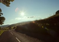 Вид на проселочную дорогу летом — стоковое фото