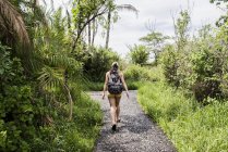 Резервного зору молоді жінки туристичних ходіння по шляху поблизу Вікторія-Фолз, Африка — стокове фото