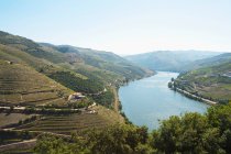 Blick auf Fluss Douro und grüne Hügel, Portugal — Stockfoto