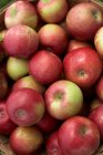 Pommes rouges saines, plein cadre. Récolte fraîche de pommes — Photo de stock
