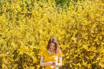 Дівчинка підліткового віку стоїть перед великою жовтою Форсифією, перевіряє свій мобільний телефон.. — стокове фото