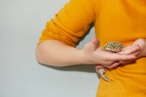 Close up of teenage girl holding spotted pet leopard gecko. — Stock Photo