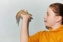 Primer plano de adolescente sosteniendo manchado mascota leopardo gecko. - foto de stock