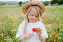 Portrait of young girl holding a poppy, standing in a meadow of wild flowers. — Stock Photo