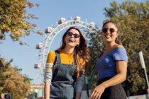Duas jovens mulheres com cabelos castanhos longos em pé em um parque perto de uma roda gigante, usando óculos de sol, sorrindo para a câmera. — Fotografia de Stock