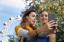 Duas jovens mulheres com cabelos castanhos longos em pé em um parque perto de uma roda gigante, tirando selfie com telefone celular. — Fotografia de Stock