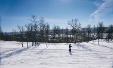 Молодий хлопчик на лижах у Вастерботенс Лані, Швеція.. — стокове фото