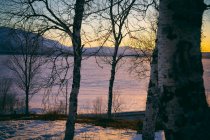 Blick an Bäumen vorbei über den zugefrorenen See bei Sonnenuntergang, Vasterbottens Lan, Schweden. — Stockfoto