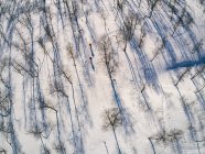 Blick aus der Vogelperspektive auf schneebedeckte Landschaft und Skifahrer in Vasterbottens Lan, Schweden — Stockfoto