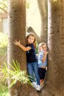 Retrato de niño y niña de pie sobre un árbol. - foto de stock