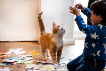 Young child playing indoors with ginger tabby cat. — Stock Photo
