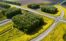 Aerial view of blossoming rapeseed along empty rural road during Corona crisis. — Stock Photo