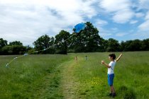 Niño parado en un prado, volando cometa azul. - foto de stock
