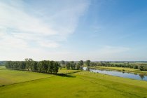 Пейзаж с паводковыми угодьями возле реки Эйссел, Нидерланды. — стоковое фото
