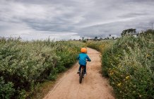 Rear view of boy cycling along a path with Bush Sunflower, Encelia californica, growing either side, near Santa Barbara, California, USA. — Stock Photo
