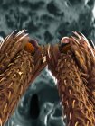 Image SEM des pattes du coléoptère museau — Photo de stock