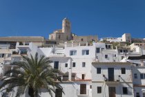Bâtiments Ibiza sur la colline — Photo de stock
