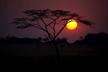 Pôr do sol sobre a paisagem rural — Fotografia de Stock