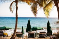 Empty sun loungers on tropical beach — Stock Photo