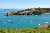 Porto e barcos Waiheke Island, Auckland, Nova Zelândia — Fotografia de Stock