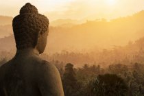 Будда і ліс, Буддійський храм Боробудура, Ява, Індонезія — стокове фото
