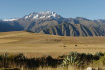 Campo de trigo colhido, Maras, Vale Sagrado, Peru, América do Sul — Fotografia de Stock